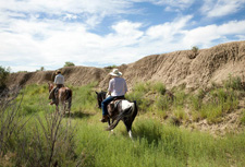 USA-Colorado-Chico Cattle Ranch
